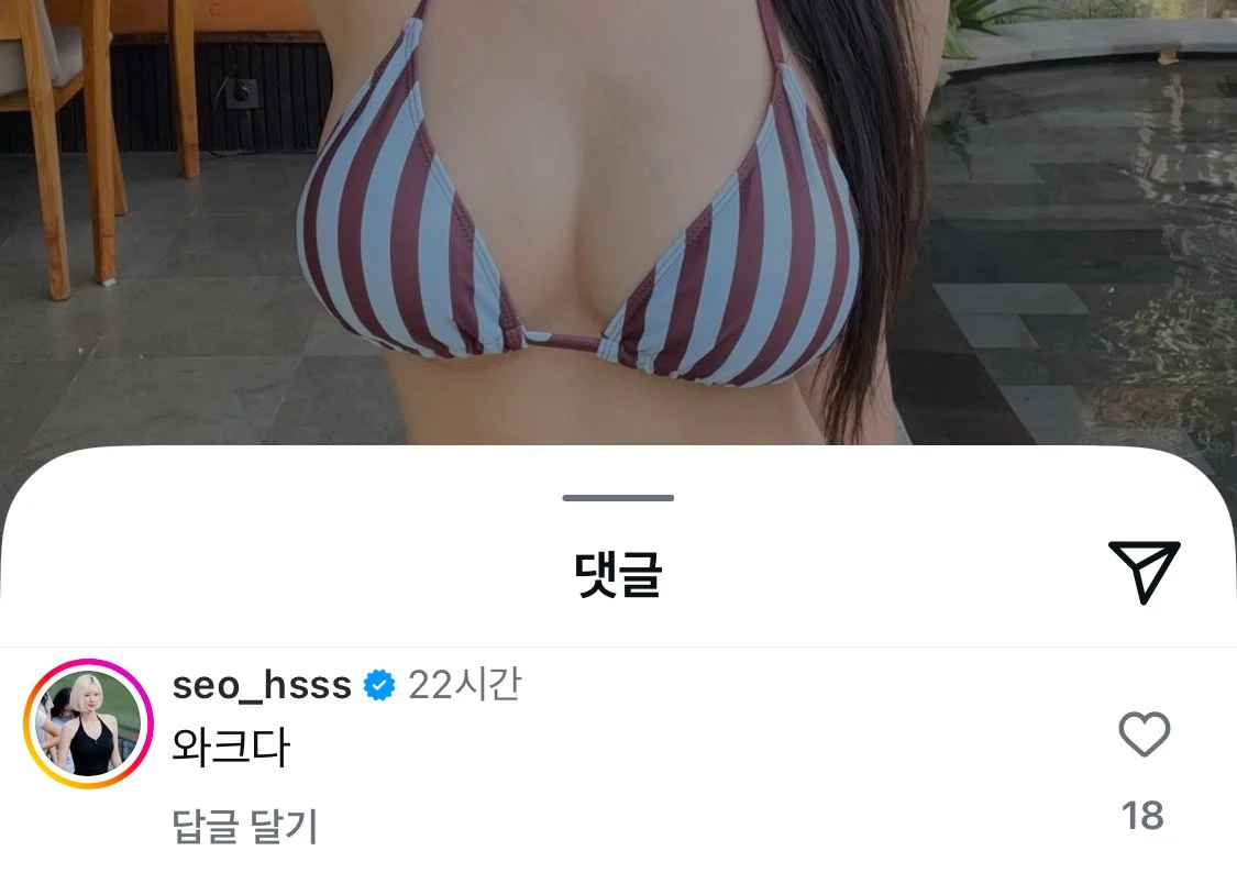 비키니 사진 올린 치어리더와 댓글 (3)