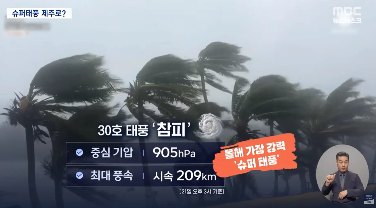 '참피' 우리나라로? (2)