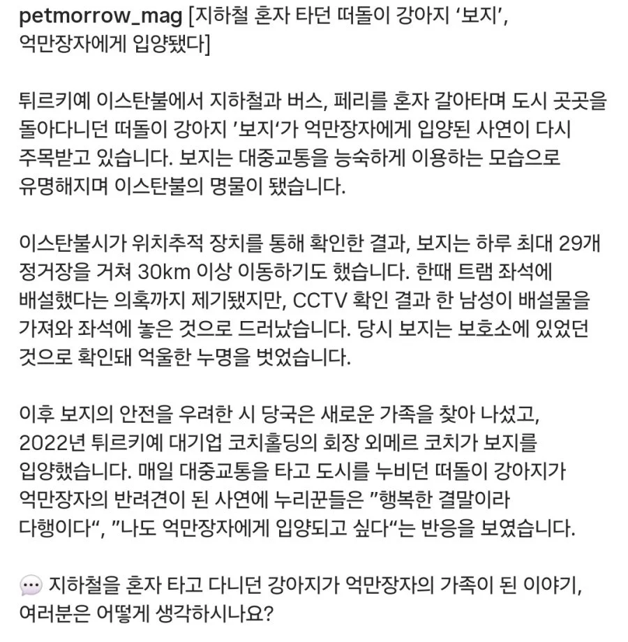 *** 결국 억만장자에게 (2)