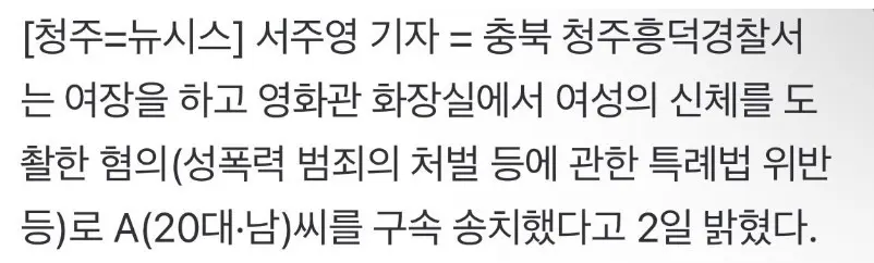 여장한 남자, 여자화장실서 도촬하다 걸림 (3)