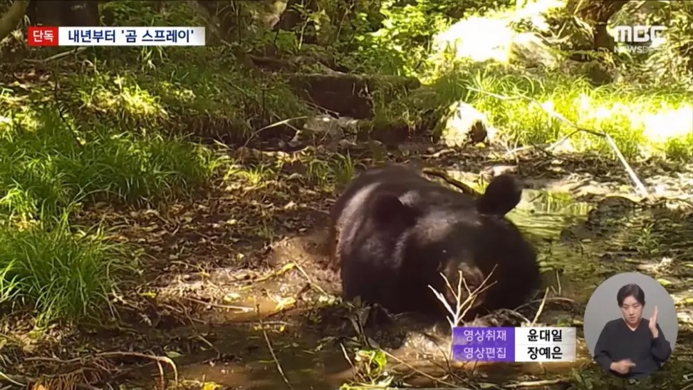 지리산 곰 100마리 육박하자 내놓은 특단의 조치 (11)