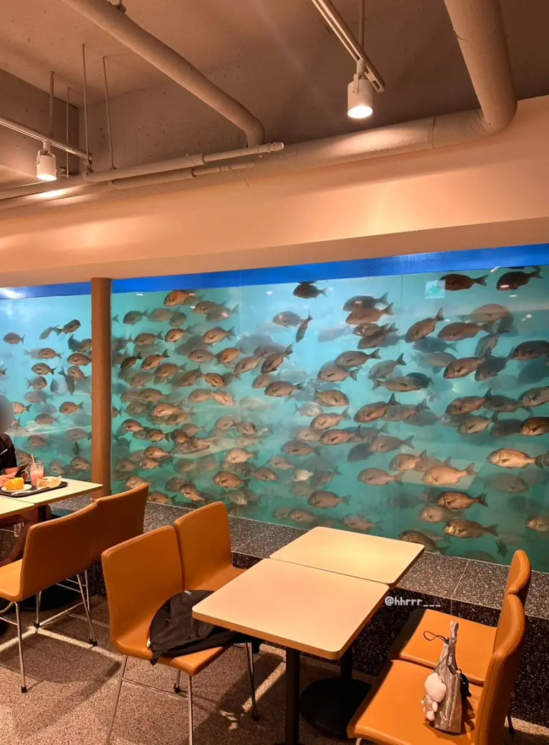 한국 최초로 백상아리를 사육한 수족관 (2)