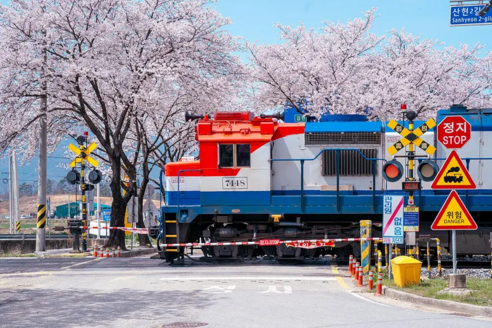 2026년 철도사진공모전 입선작 (15)