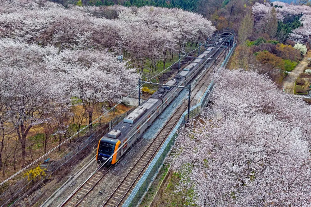 2026년 철도사진공모전 입선작 (7)