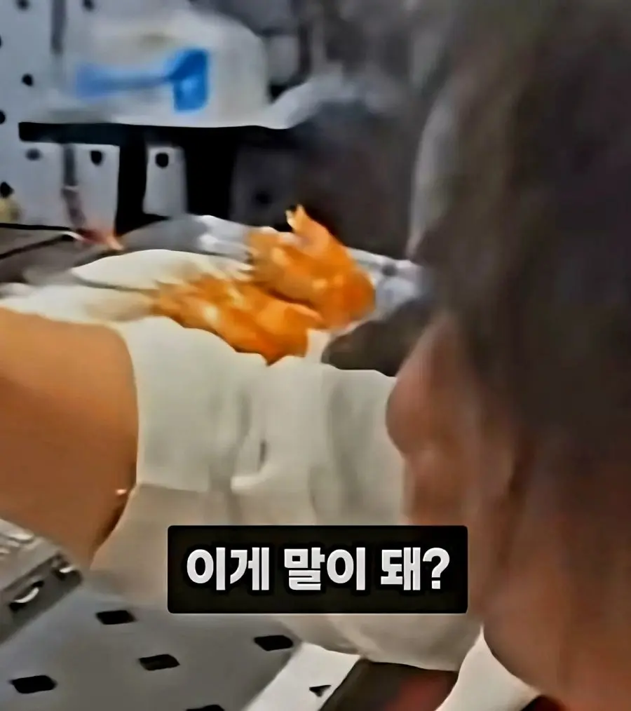 태국에서 중국돈만 쓴다는 중국인 (13)