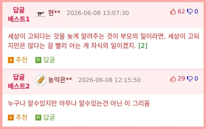 어느 50대가 쓴 유튜브 댓글 (2)
