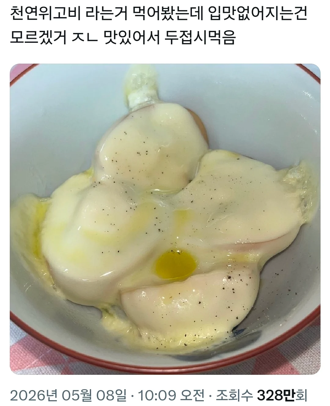 얼마전 핫 했던 천연 위고비 근황 (2)