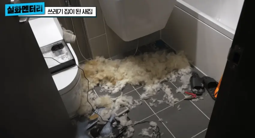 1년만에 쓰레기집이된 새집 (13)