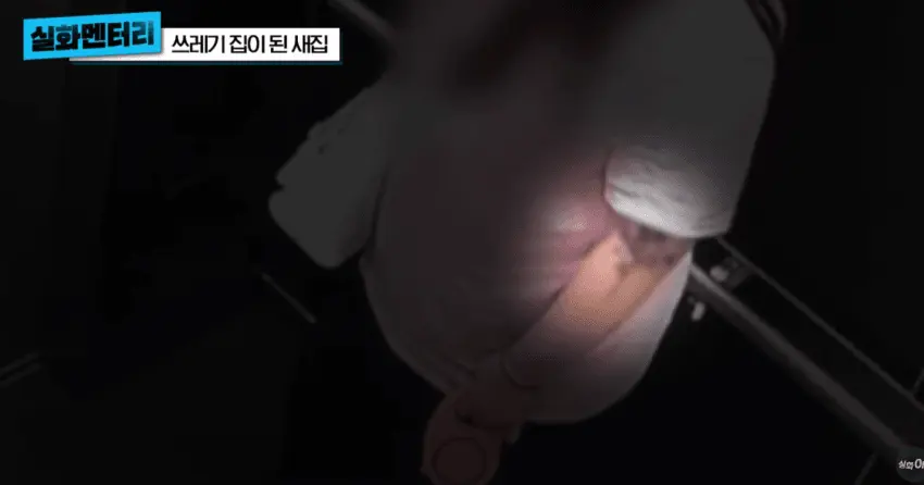 1년만에 쓰레기집이된 새집 (20)