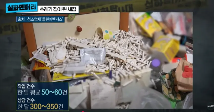 1년만에 쓰레기집이된 새집 (49)