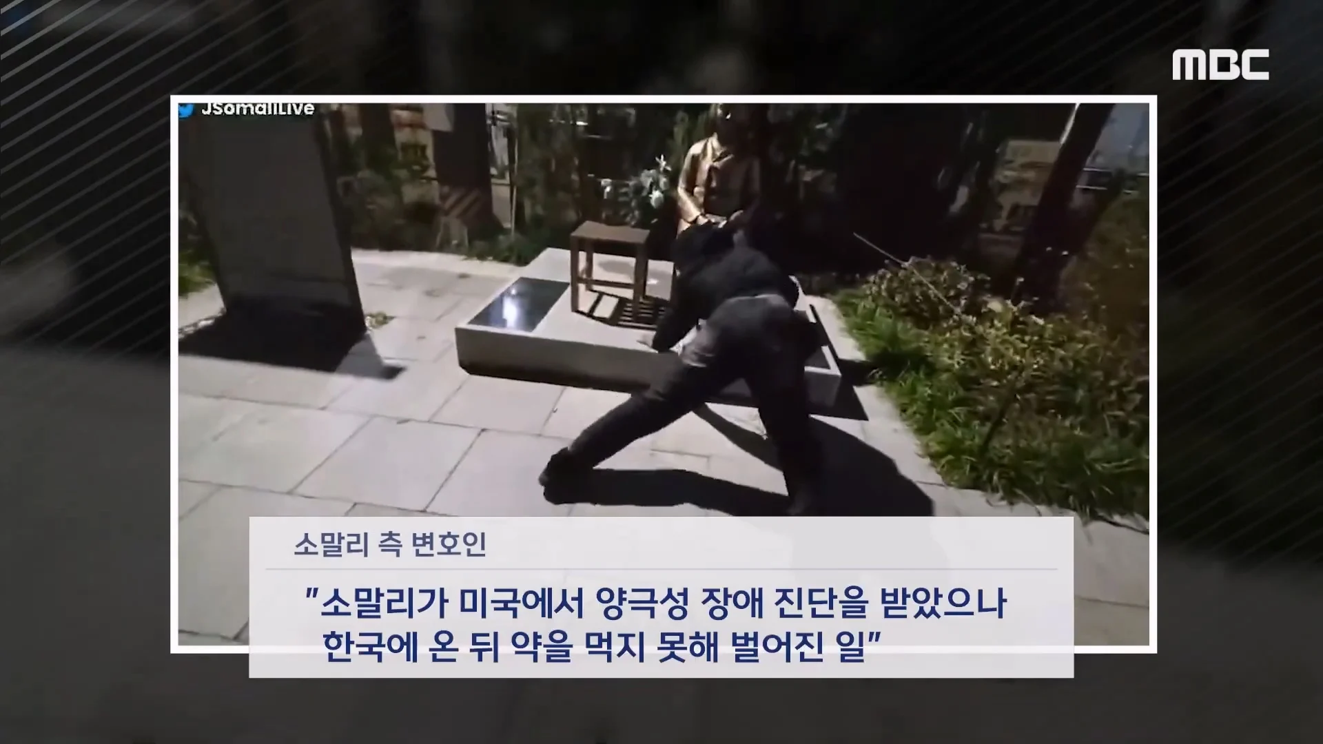 조니 소말리 징역 3년 구형에 “한번만 봐달라” (13)