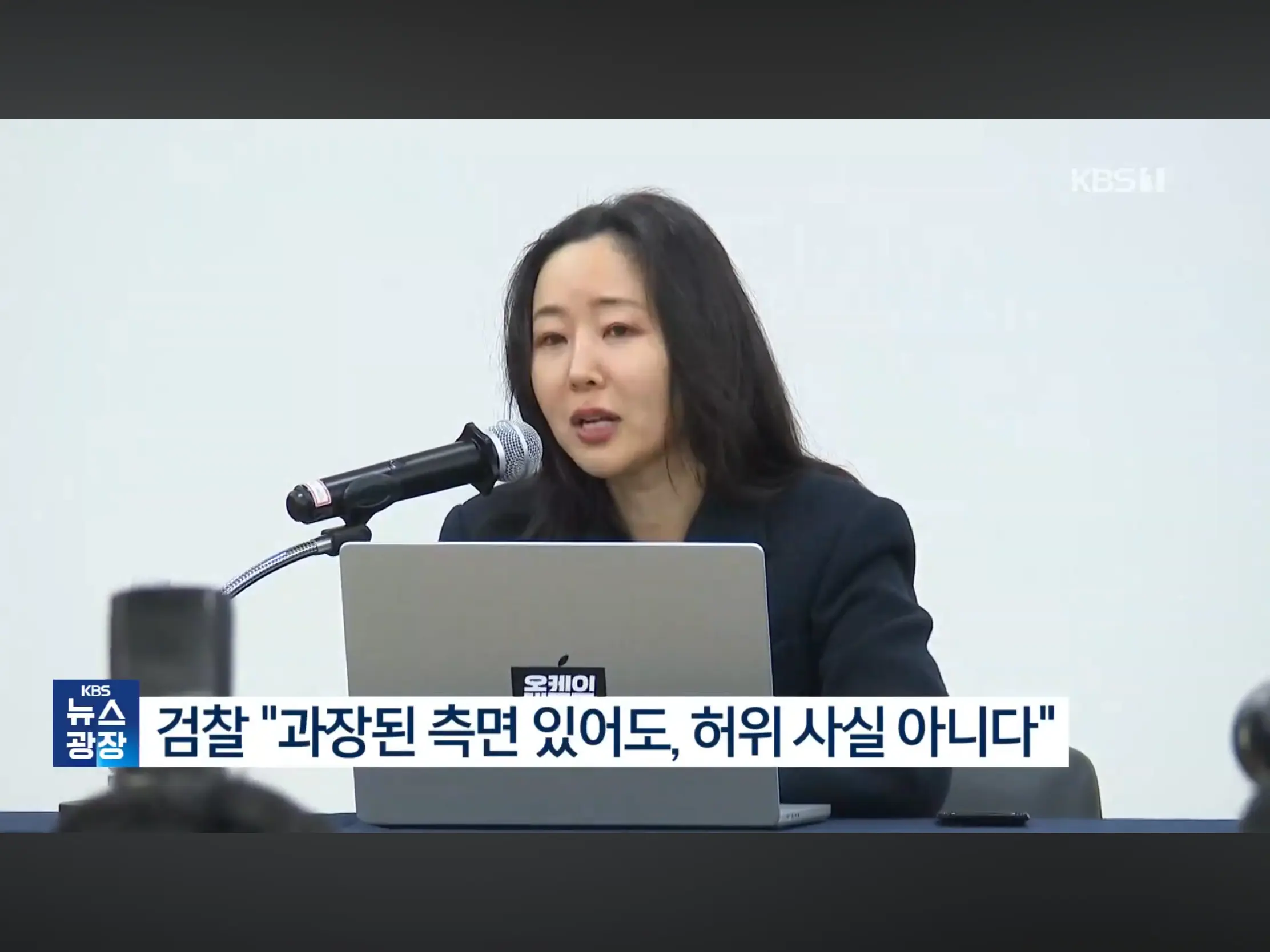 검찰 ”민희진 주술경영, 뉴진스 빼돌리기 허위 아니다“ (3)