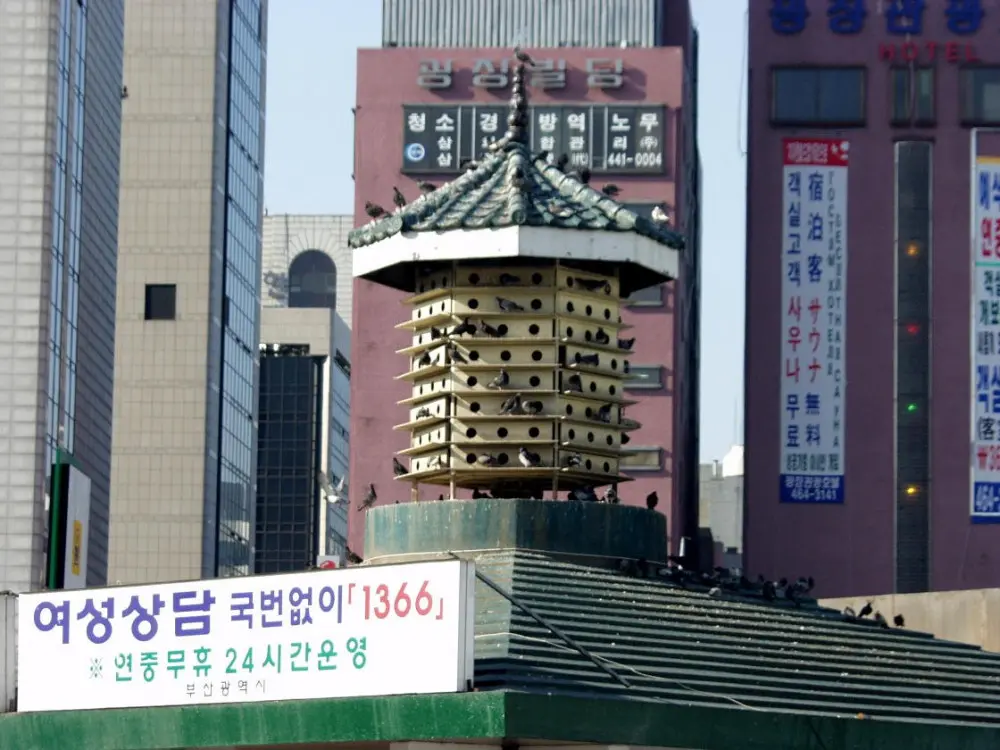 2002 월드컵 당시 풍경 (12)