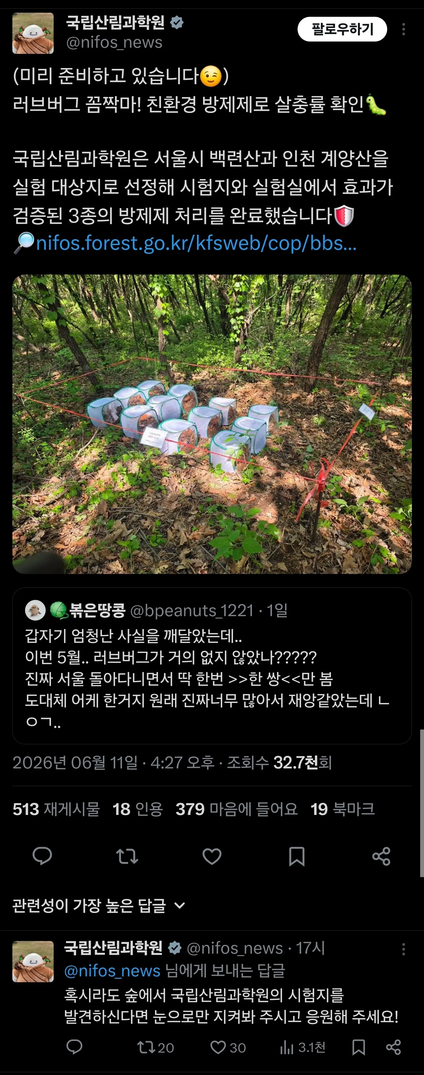 작년에 난리난 러브버그들 올해는 안보이는 이유 (2)