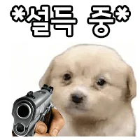옆집 개한테 총 맞을뻔한 사람 (2)