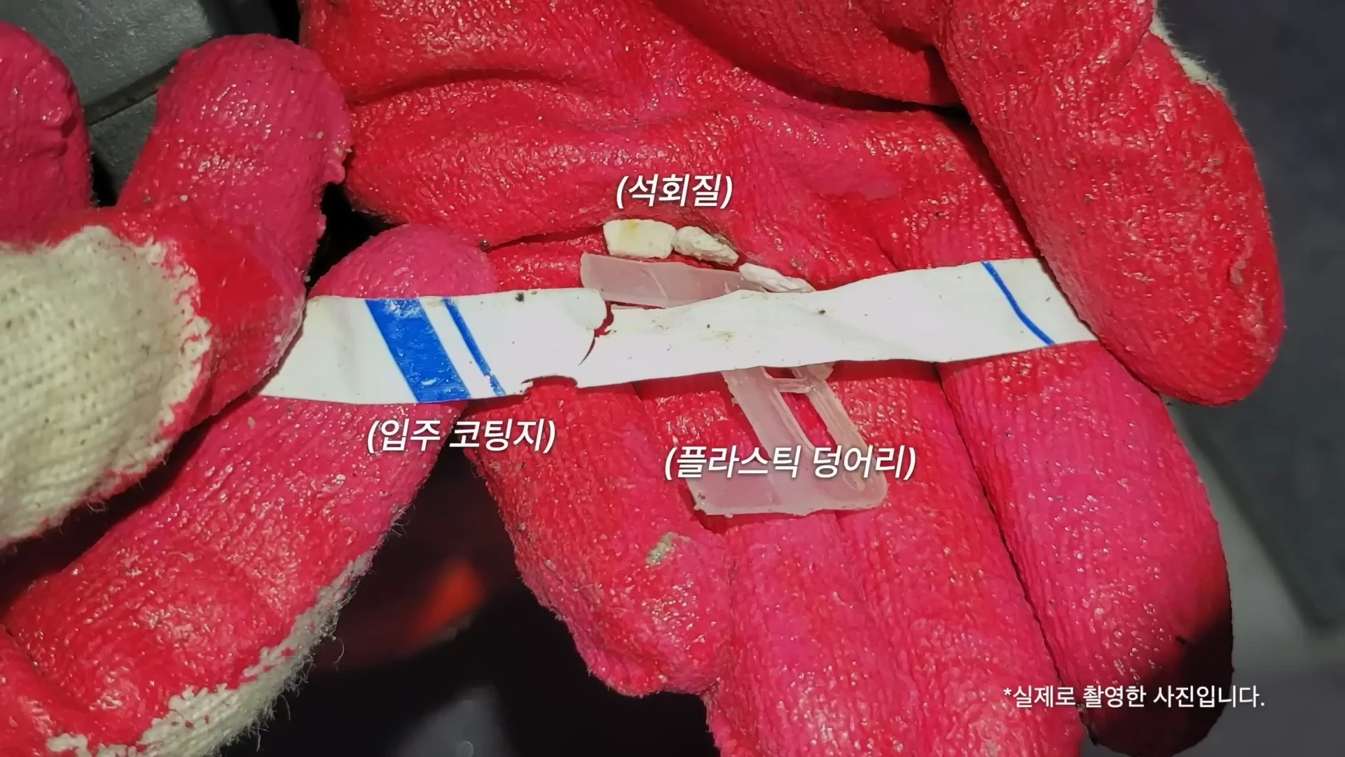 육상 김민지가 갑자기 이사를 가는 이유 (4)