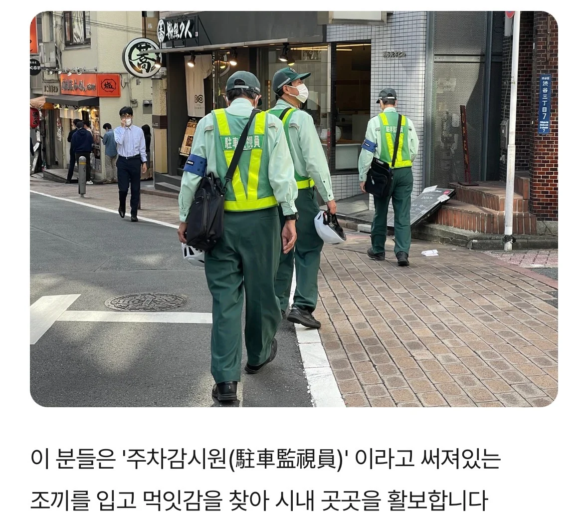 일본의 무시무시한 초록벌레 (2)