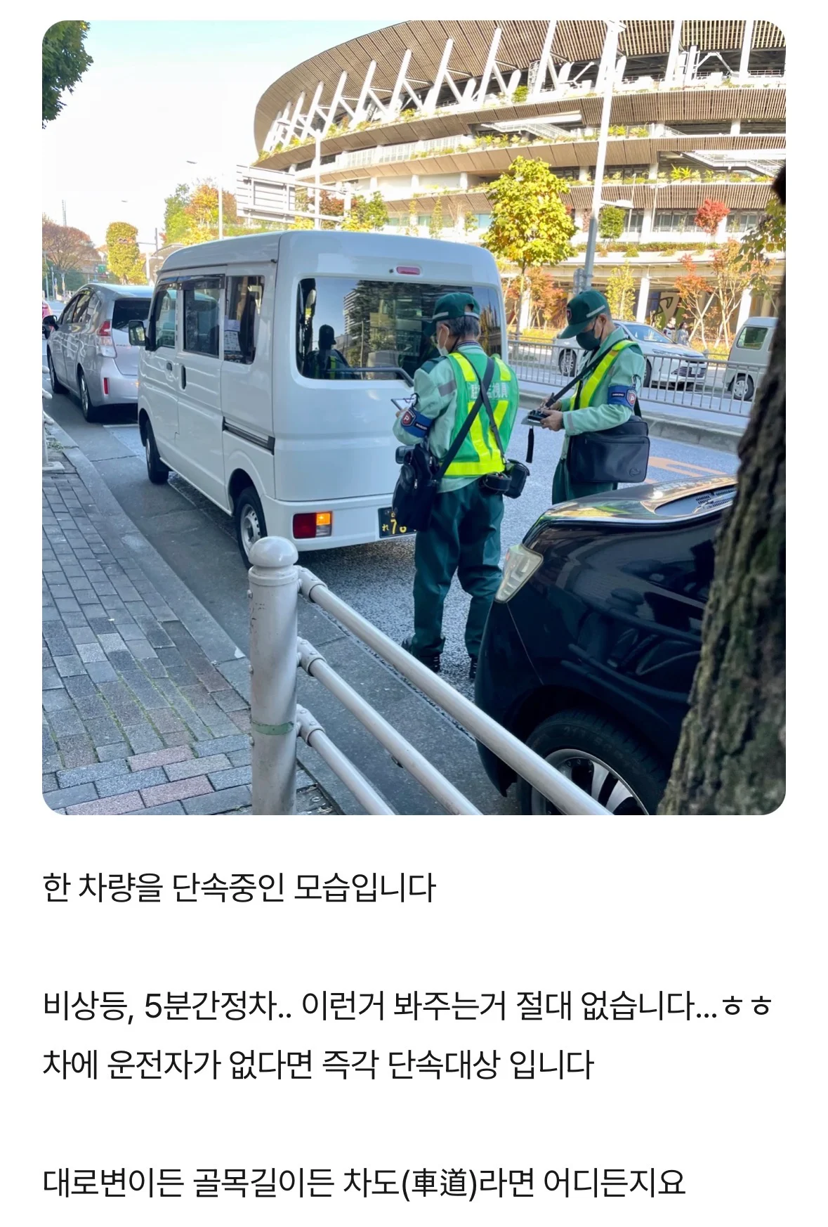 일본의 무시무시한 초록벌레 (3)