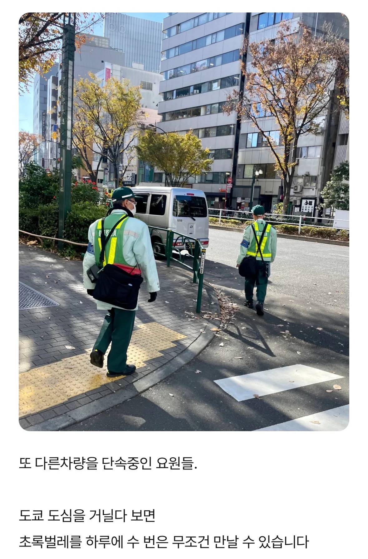 일본의 무시무시한 초록벌레 (4)