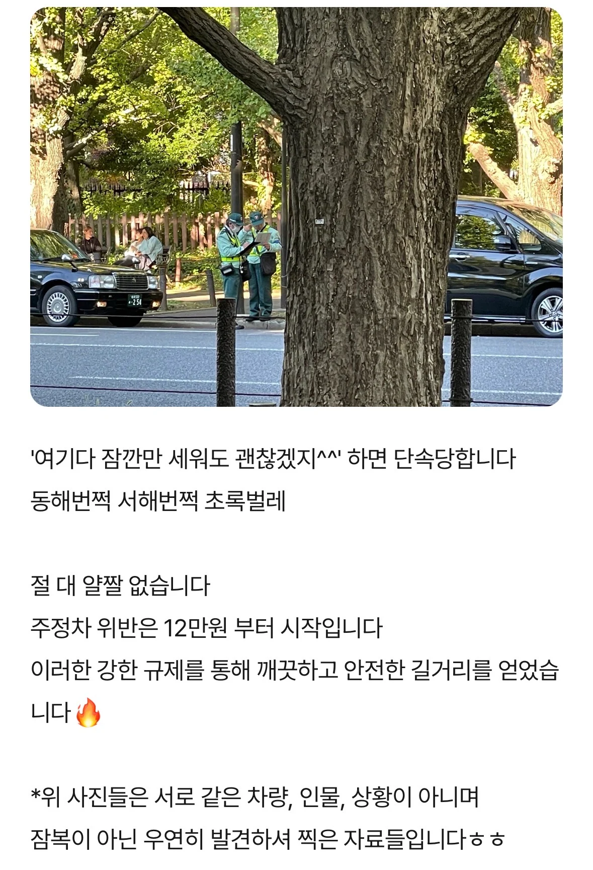 일본의 무시무시한 초록벌레 (5)
