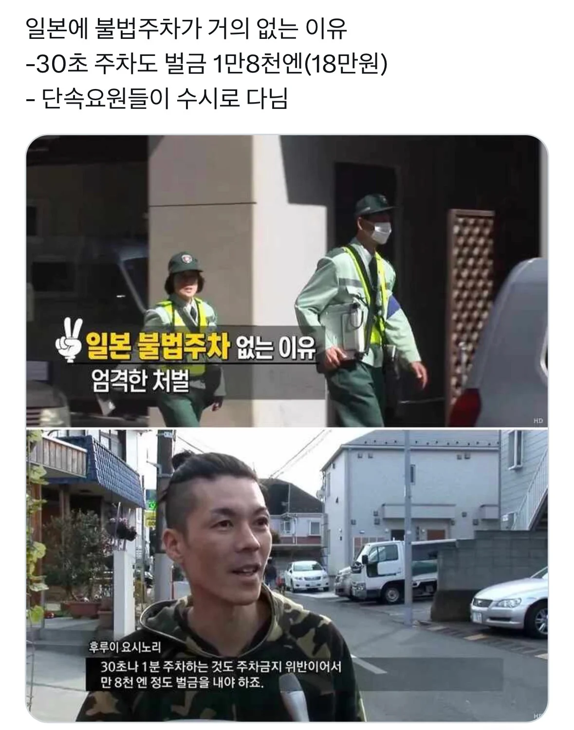 일본의 무시무시한 초록벌레 (6)