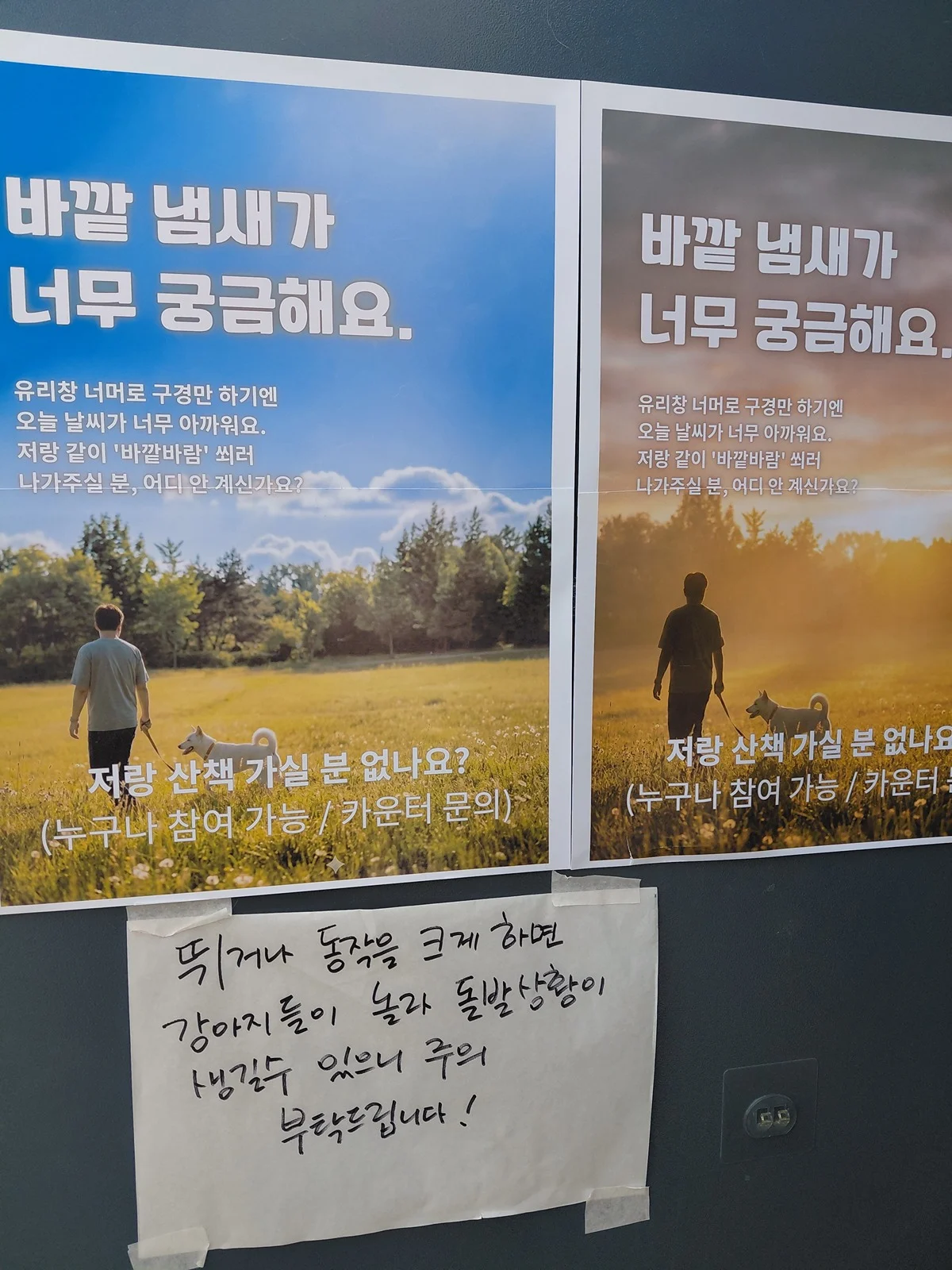 인천의 유기견 카페 (18)