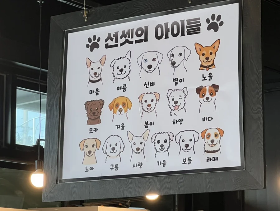 인천의 유기견 카페 (3)
