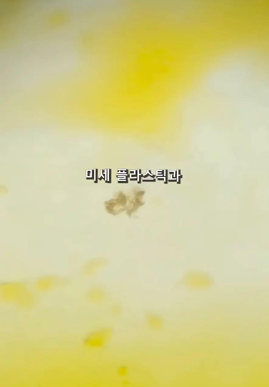 충격적인 중국산 간식 위생상태 (4)