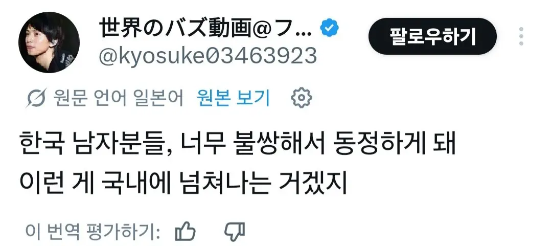X에서 일본인에게 뚜드려맞는 국산 페미녀 (12)