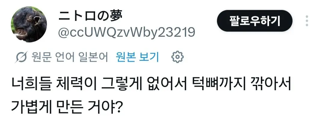 X에서 일본인에게 뚜드려맞는 국산 페미녀 (4)