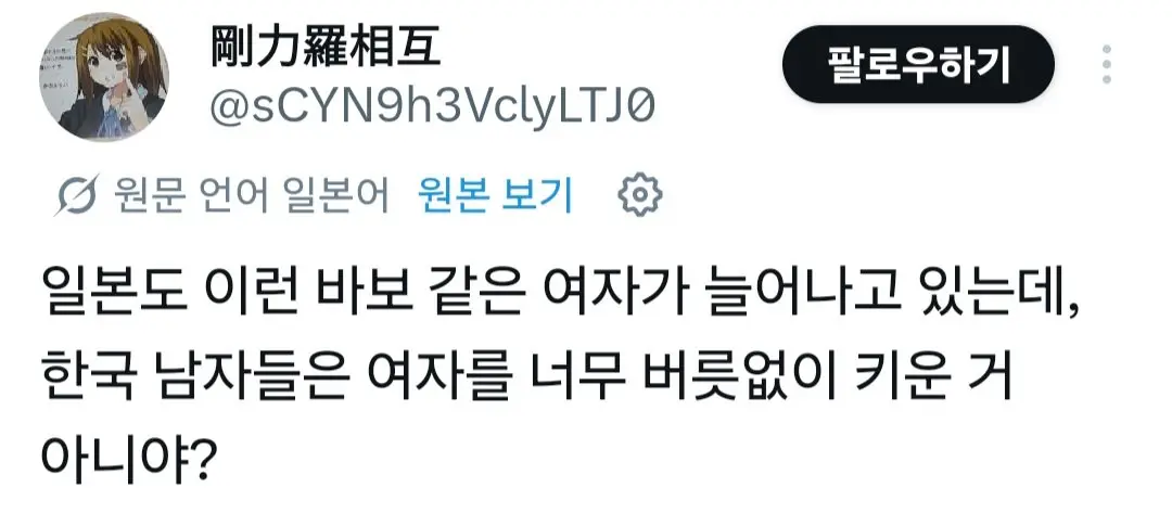 X에서 일본인에게 뚜드려맞는 국산 페미녀 (5)