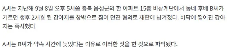 15층 아파트에서 지인 강아지 던져 죽인 20대 (2)