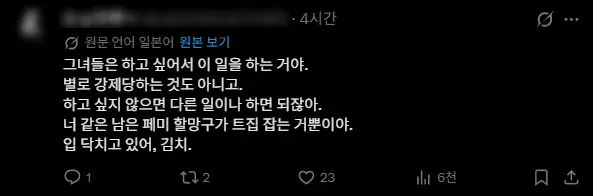 일본인들도 알아버린 페미의 아줌마 발작버튼 (5)