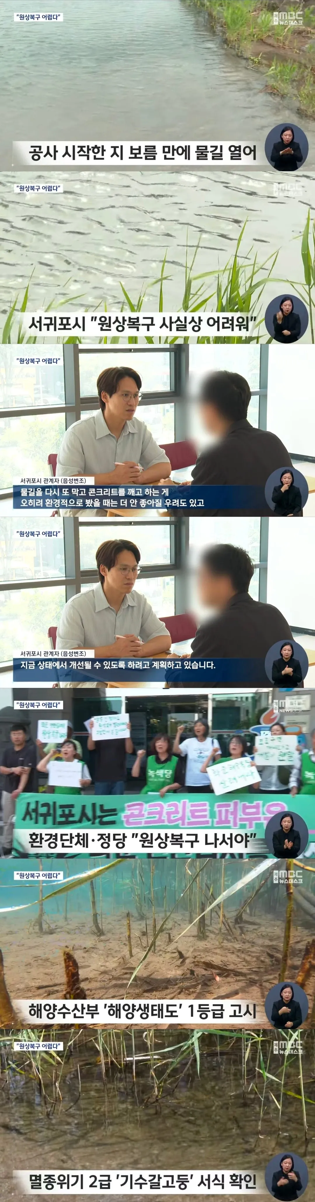 하천에 콘크리트 부은 제주도 근황 (2)