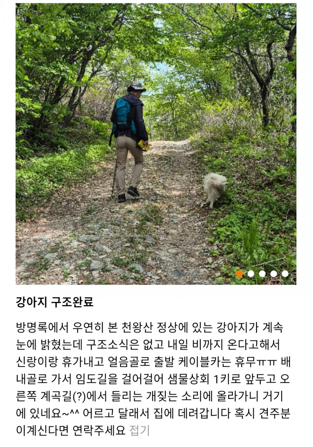 산꼭대기에 있다는 유기견 (10)