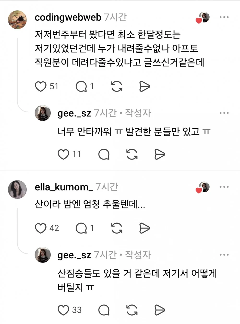 산꼭대기에 있다는 유기견 (6)