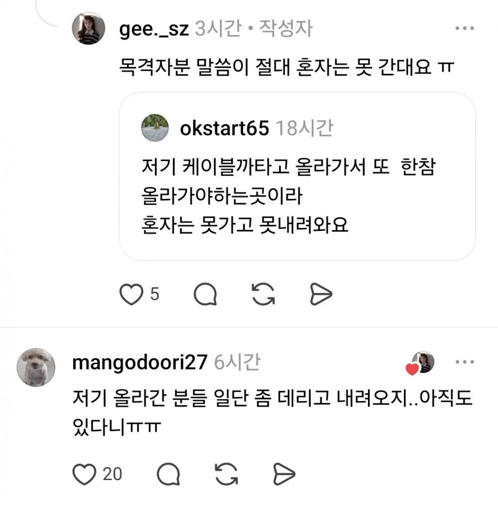 산꼭대기에 있다는 유기견 (7)