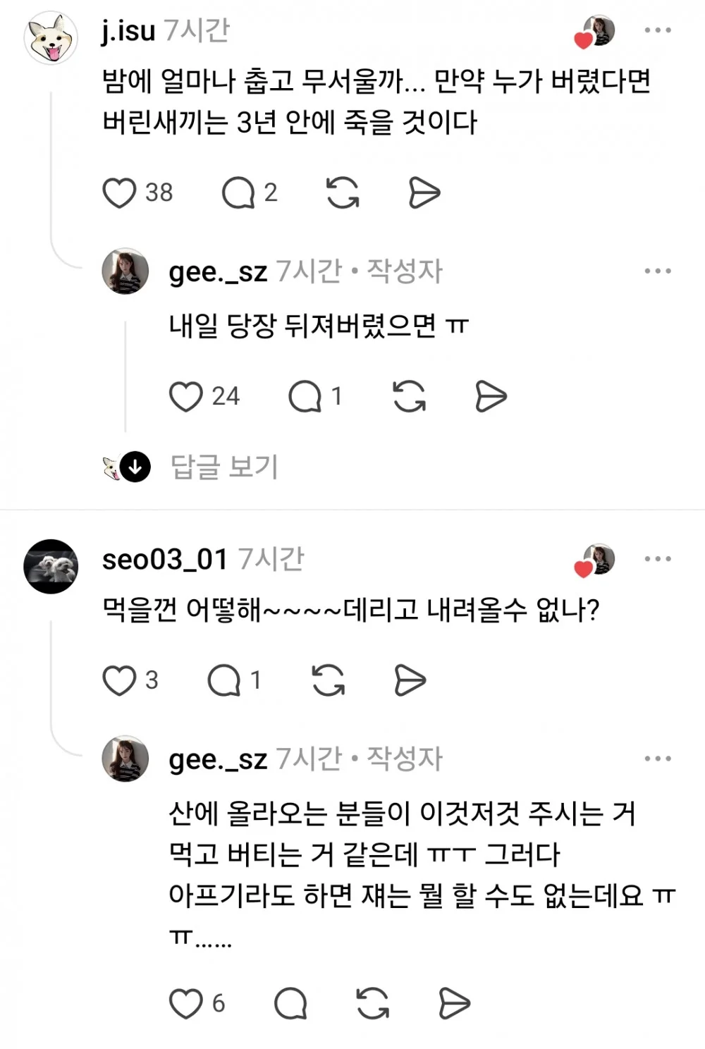산꼭대기에 있다는 유기견 (8)