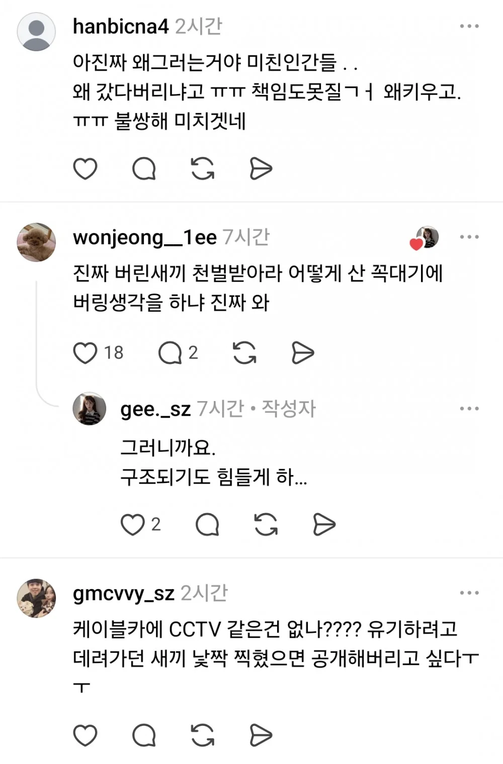 산꼭대기에 있다는 유기견 (9)