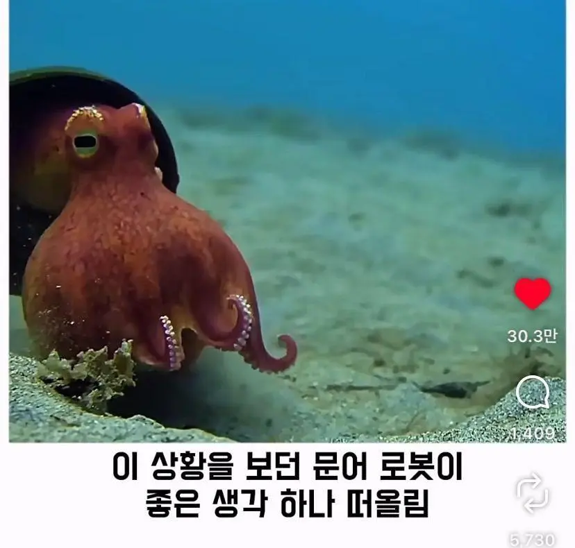 은혜 갚는 똑똑한 문어 (11)