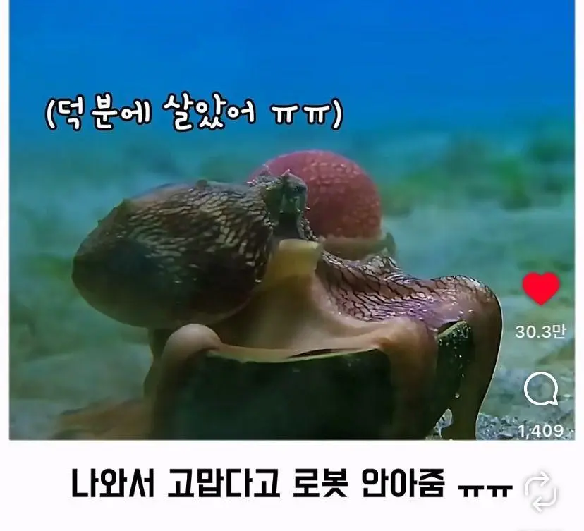 은혜 갚는 똑똑한 문어 (18)