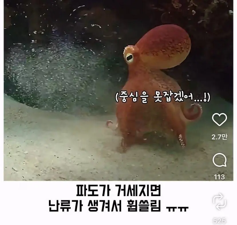 은혜 갚는 똑똑한 문어 (20)