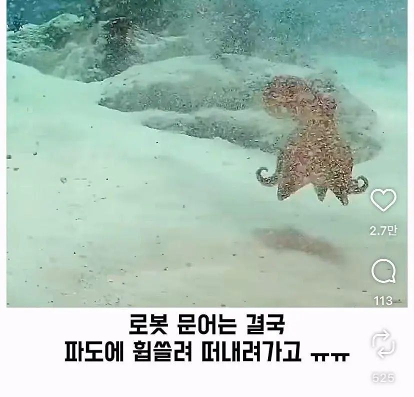 은혜 갚는 똑똑한 문어 (26)