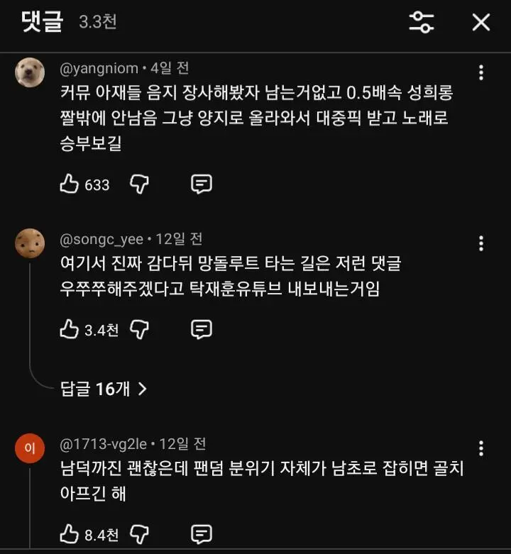 여초에 좌표 찍힌듯한 리센느 영상 댓글 (4)