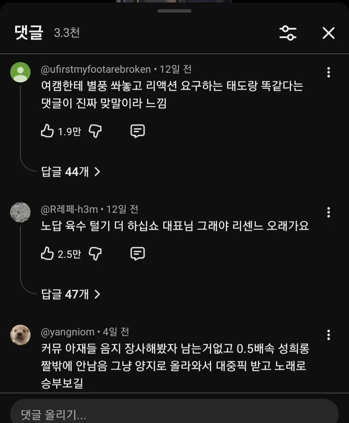 여초에 좌표 찍힌듯한 리센느 영상 댓글 (5)
