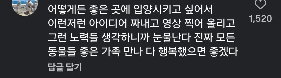 동물보호센터 강아지 입양 공고