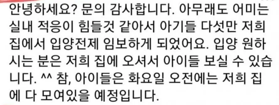 새끼 낳자마자 빼앗긴 길고양이 (2)