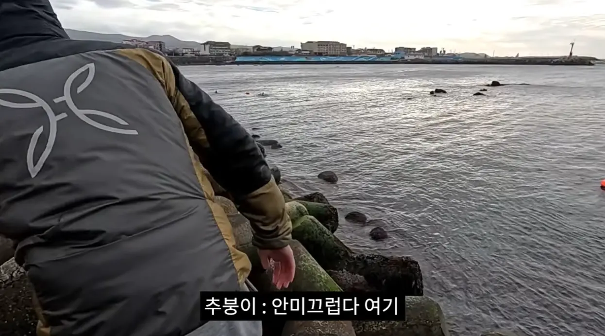 (펌) 댓글 씹창난 딸배헌터 신작 (16)