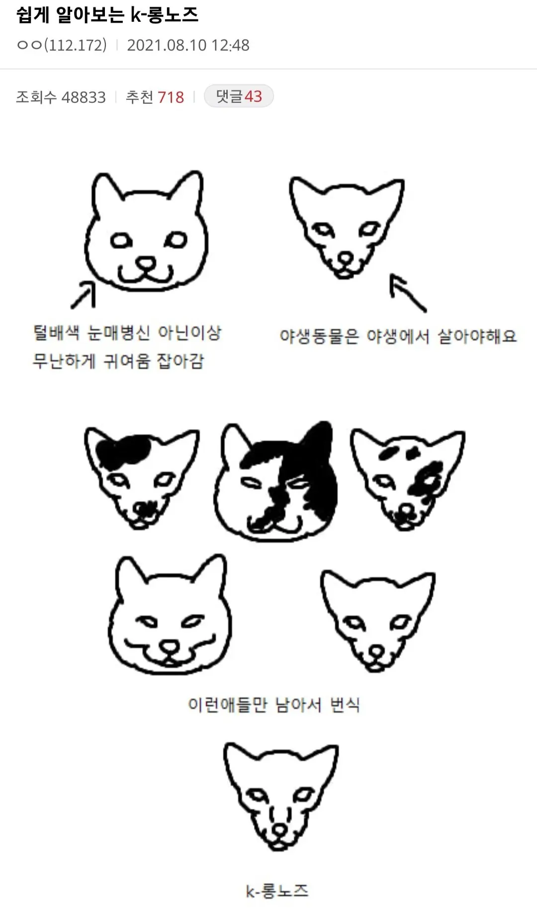 길고양이들의 외모가 못생겨진 이유 (2)