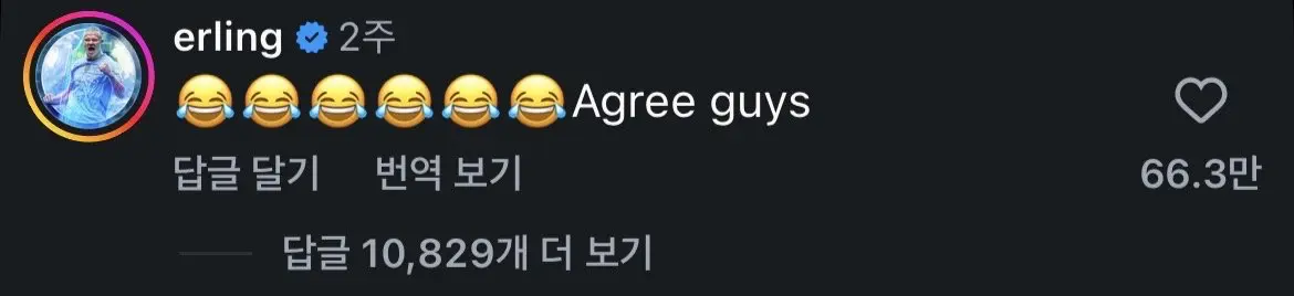홀란드도 인정한 홀란드 닮은꼴